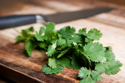 Cilantro Lime Vinaigrette