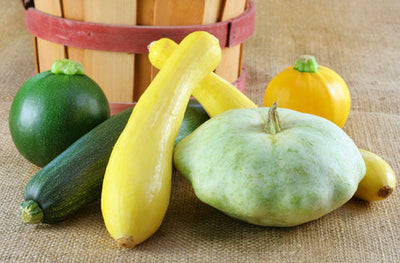 Perfect Roasted Squash