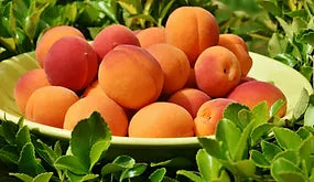 Blenheim Apricot White Balsamic Vinegar